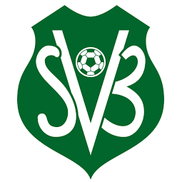 logo_suriname_voetbalbond.png