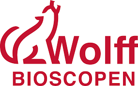 logo_wolff_bioscopen.png